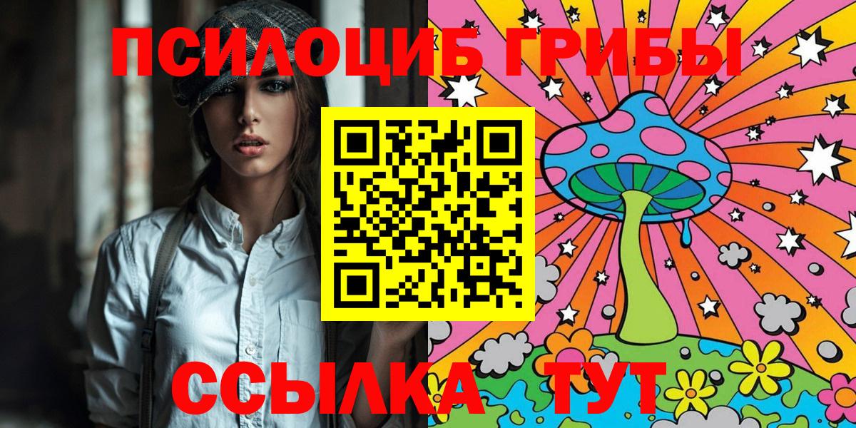 Псилоцибиновые грибы Psilocybe Зима