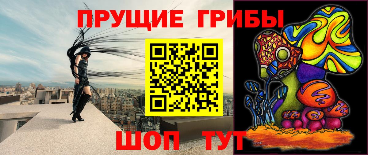 Галлюциногенные грибы мухоморы  Псилоцибиновые грибы GOLDEN TEACHER  Зима  Вход с VPN 